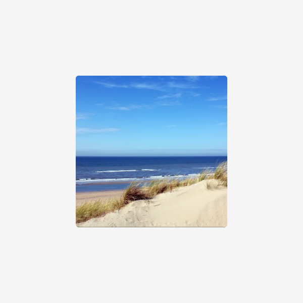 Fietstocht en picknick in Zandvoort