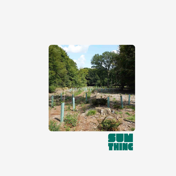 Boost 10m2 Biodiversiteit