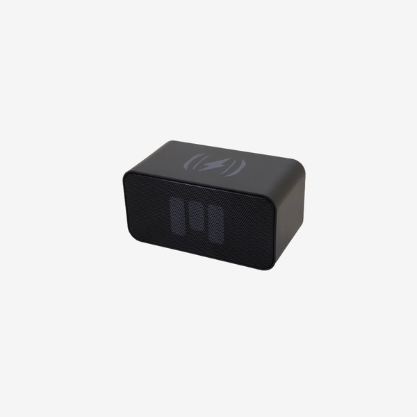 CHARGE&PLAY MINI II