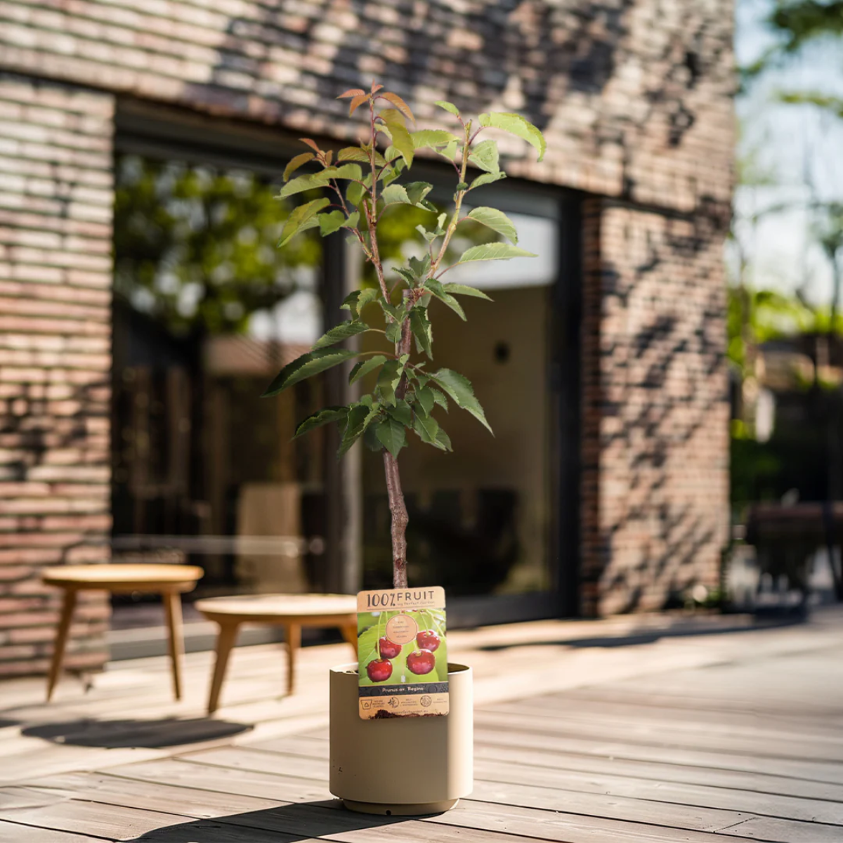 Product photo