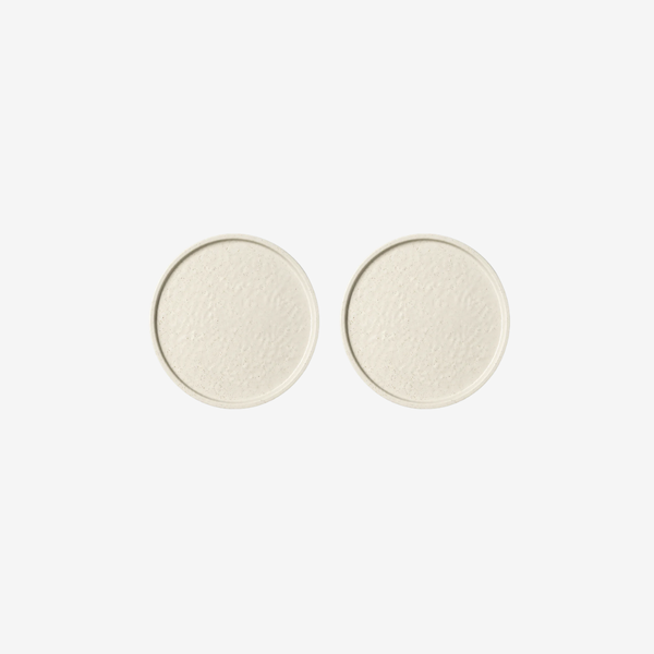 Dinner plates 2x