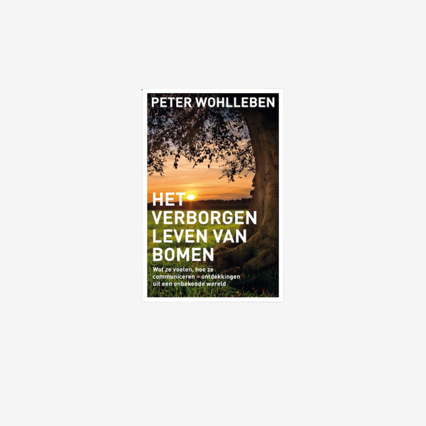 Het verborgen leven van bomen