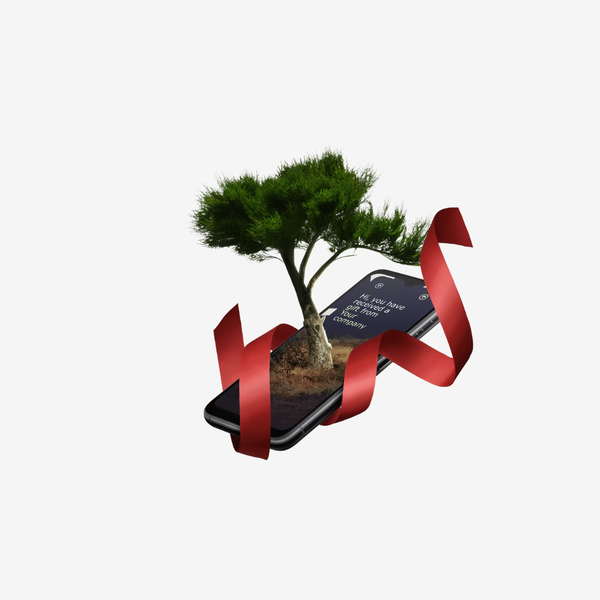 Plant 10 Bomen