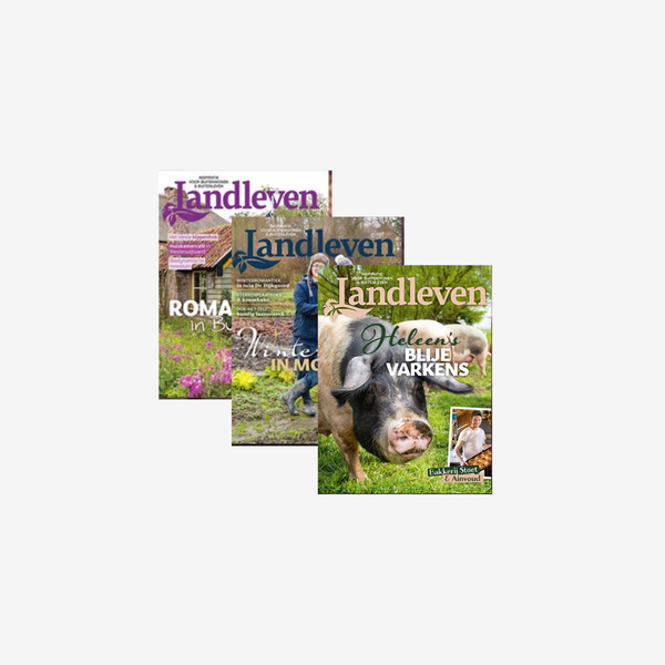 Landleven Magazine